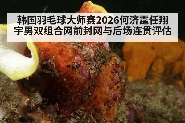 韩国羽毛球大师赛2026何济霆任翔宇男双组合网前封网与后场连贯评估